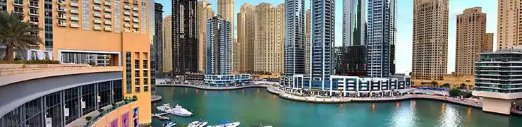 Pest Control in Dubai Marina JBR