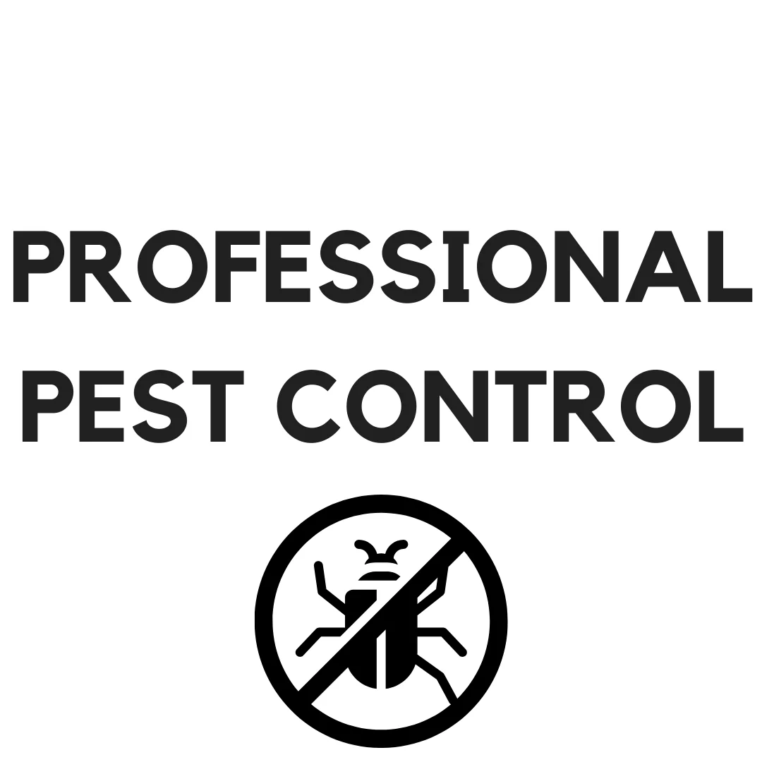 Professional Pest Control Service