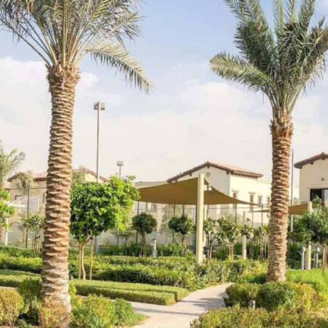 picture showing villas and nice garden in Al Reem Area DubaI 